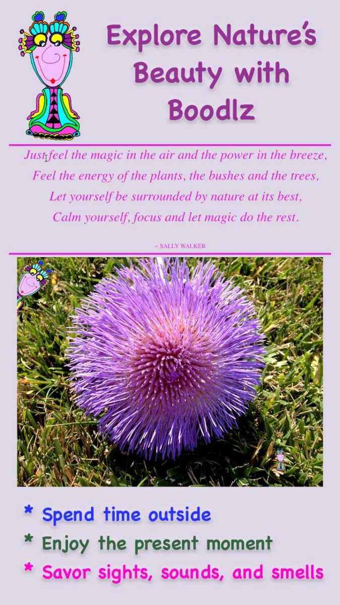 Pinterest Explore Natures Beauty with Boodlz